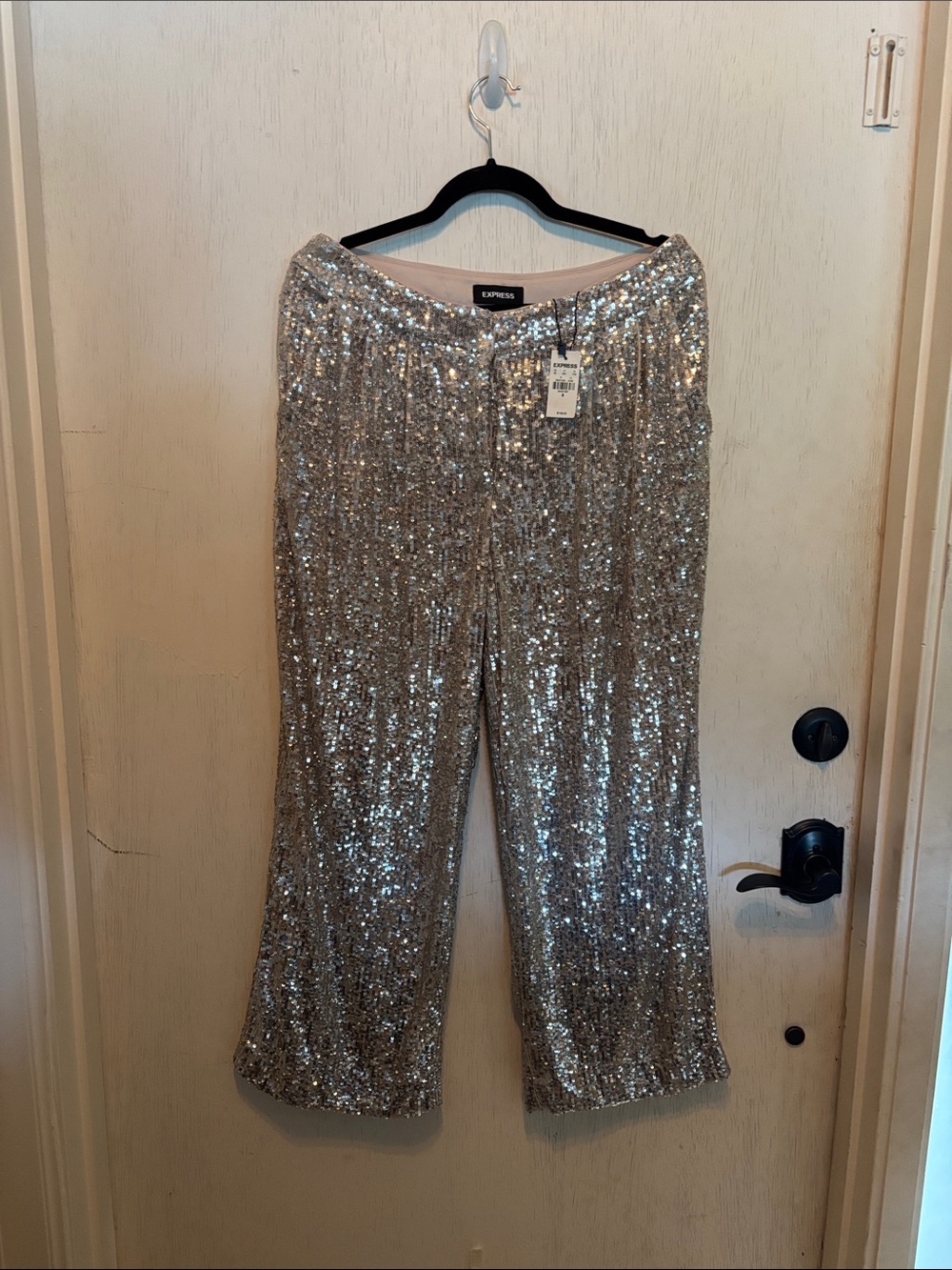 Express Silver Sequin Palazzo Pants